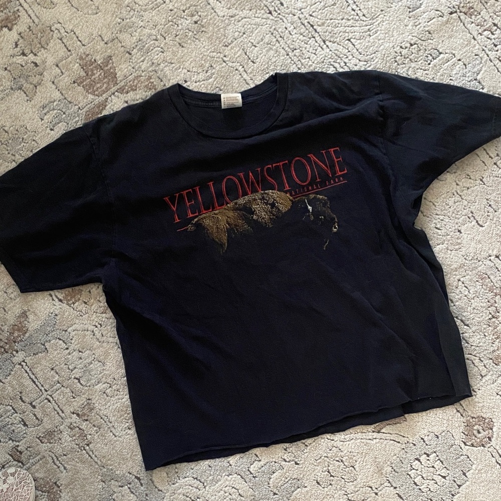 Yellowstone Park vintage tee